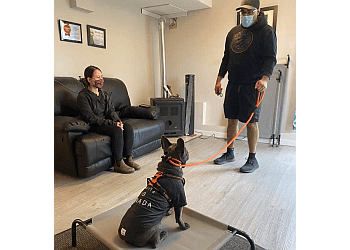 North Vancouver Dresseurs De Chiens Cascadia Dog Training