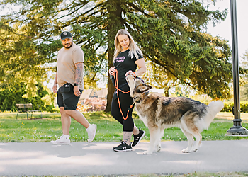 North Vancouver Dresseurs De Chiens Cascadia Dog Training