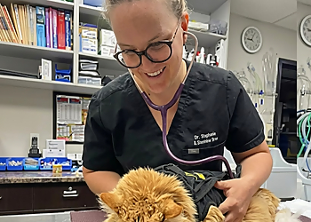 Cassells Animal Hospital - North Bay, ON Veterinary Clinics - Doctor With Patient Image