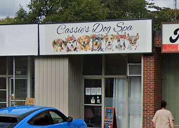 Sarnia pet grooming Cassie's Dog Spa image 1