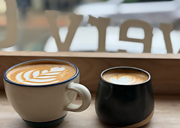 Saint John cafe Catapult Coffee & Studio
