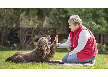 New Westminster dog trainer Cathie’s Canine Connection
