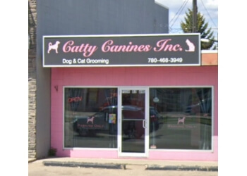 Catty Canines Inc.