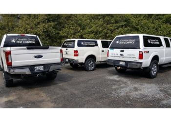 Caverson Group Pest Control Caverson Group Pest Control