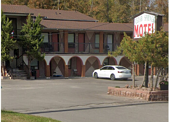 Halton Hills hotel Cedar Springs Motel image 1