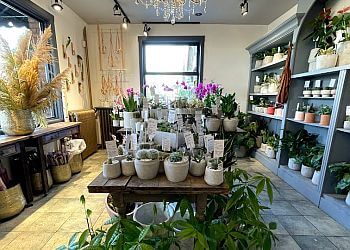 Vancouver Fleuristes Celsia Florist