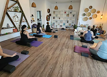 Center Om Namo - Gatineau, QC Yoga Studios - Practice Image