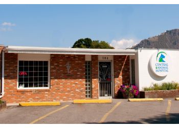 Central Animal Hospital