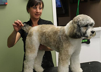 Waterloo Salons de Toilettage Pour Animaux De Compagnie Central Bark Pet Grooming Salon