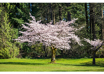 Burnaby golf course Central Park Pitch & Putt image 1