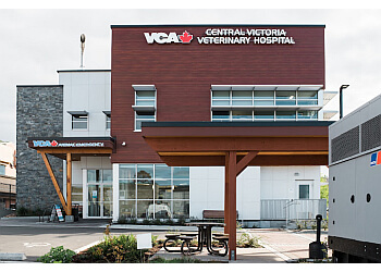 Central Victoria Veterinary Hospital