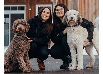 Blainville Salons de Toilettage Pour Animaux De Compagnie Centre Canin La Patte Champêtre