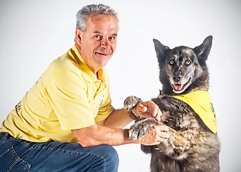 Centre Sportif Canin de Quebec - Quebec, QC Dresseurs De Chiens - Dog Trainer Image