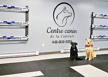 Centre canin de la Capitale - Quebec, QC Dresseurs De Chiens - Dog Image