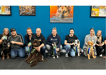 Terrebonne Dresseurs De Chiens Centre canin Ça C’est Chiens