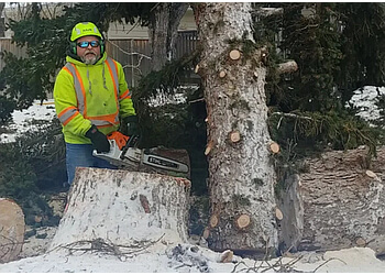 Regina Tree Services Certified Tree Services