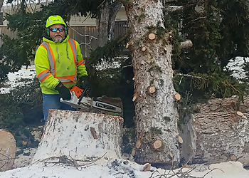 Certified Tree Services - Regina, SK Tree Services - Professional Highlights
