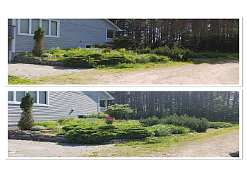 North Bay Service D'Entretien De Pelouse Chad's Grass Snow and More