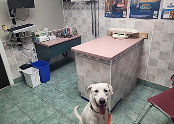 Champlain Animal Hospital - Peterborough, ON Veterinary Clinics - Treatment Room Image