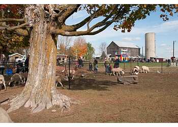 Barrie Repères Chappell Farms
