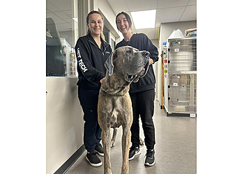 Nanaimo veterinary clinic Chase River Veterinary Hospital