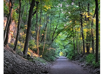 Hamilton hiking trail Chedoke Radial Recreational Trail
