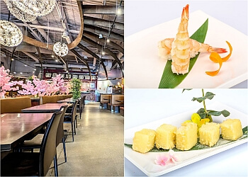 Guelph sushis Cherry Blossom Sushi Bar