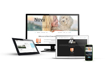 Chilliwack web designer Chewie Media