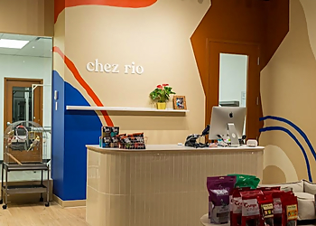 Chez Rio tonte et toilettage - Quebec, QC Salons de Toilettage Pour Animaux De Compagnie - Service Image