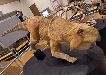 Windsor places to see Chimczuk Museum