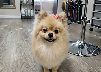 Christine's Grooming Studio - Richmond, BC Salons de Toilettage Pour Animaux De Compagnie - Service Image