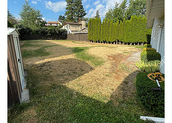 Kamloops lawn care service Cityview Landscaping