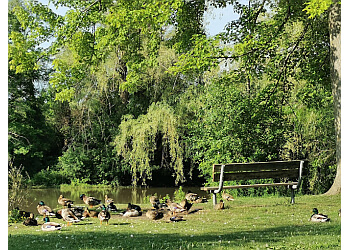 Waterloo Parcs Publics Clair Lake Park