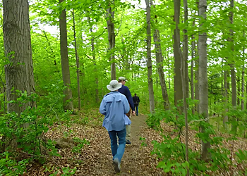 Claireville Conservation Area Claireville Conservation Area - Brampton, ON Hiking Trails - Trail Image
