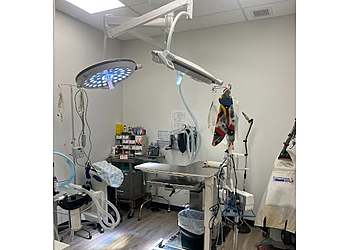 Abbotsford veterinary clinic Clayburn Pet Hospital