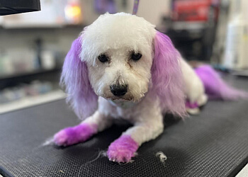 Sarnia Salons de Toilettage Pour Animaux De Compagnie Clean Cut K9 Dog and Cat Grooming