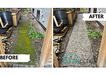 Delta commercial cleaning service Cleanology Ltd.