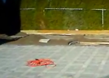 Maple Ridge landscaping company Clearview Lawn & Landscape