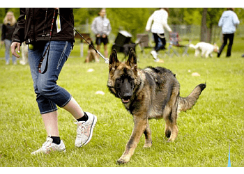 Calgary dog trainer Clever Canines