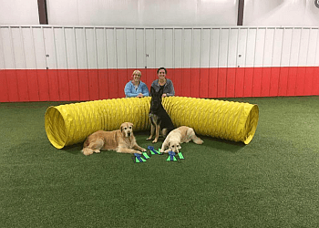 Sault Ste Marie dog trainer Clever Canines Training