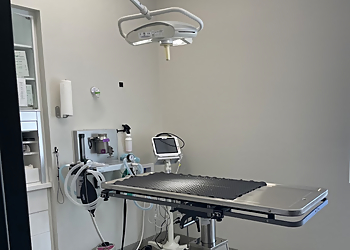 Clinique Vétérinaire Cimon Vanier - Quebec, QC Veterinary Clinics - Healthcare Facility Image