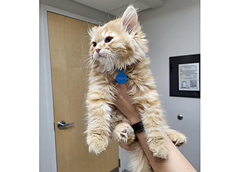 Saint Hyacinthe veterinary clinic Clinique Vétérinaire Douville