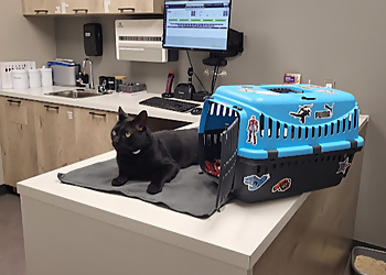 Levis Cliniques Vétérinaires Clinique Vétérinaire Harmonia inc.