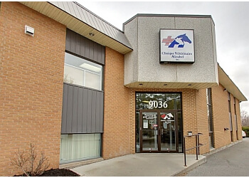 3 Best Veterinary Clinics in Mirabel, QC  Expert Recommendations