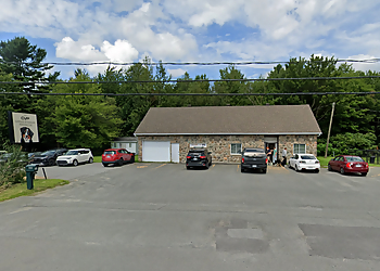 Granby veterinary clinic Clinique Vétérinaire Principale