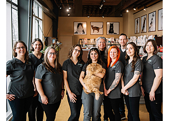 Mirabel Cliniques Vétérinaires Clinique Vétérinaire St-Augustin-De-Mirabel