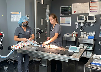 Clinique Vétérinaire Valmont - Repentigny, QC Veterinary Clinics - Doctor With Patient Image