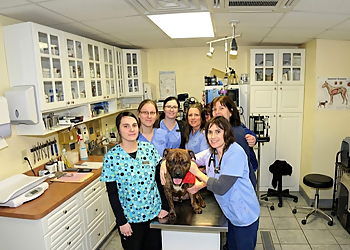 Clinique Vétérinaire de Granby - Granby, QC Cliniques Vétérinaires - Doctor With Patient Image