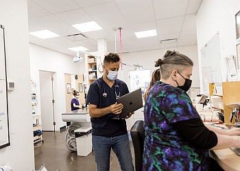 Montreal veterinary clinic Clinique Vétérinaire de Pointe St-Charles