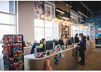 Mirabel Cliniques Vétérinaires Clinique Vétérinaire du Domaine Vert